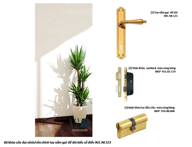 Bộ khóa cửa đồng màu vàng 901.98.523