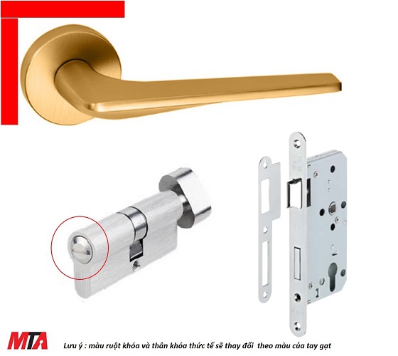 Khóa cửa nhà tắm hafele DIY set C 499.63.623 màu đồng bóng