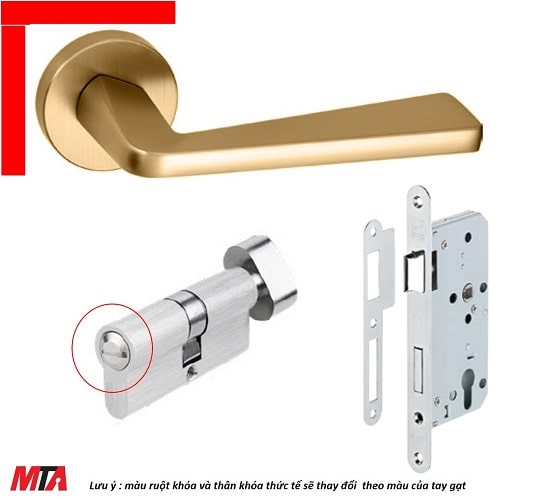 Khóa phân thể hafele DIY set D 499.63.631 màu Đồng Bóng cho phòng vệ sinh